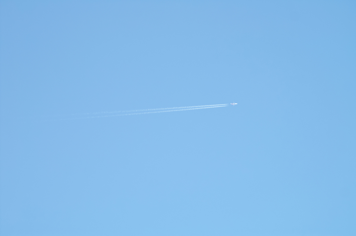 2014-01-27-7D-PICT0001-C1-POP-1200.jpg